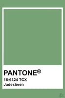 Long Sleeve Top | Acorn- Pastel Green