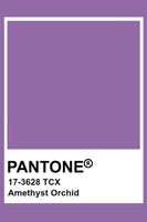 Zip Suit | Puffin - Purple, Amethyst Orchid Ribb