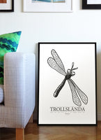 Poster | Trollslända / Dragonfly